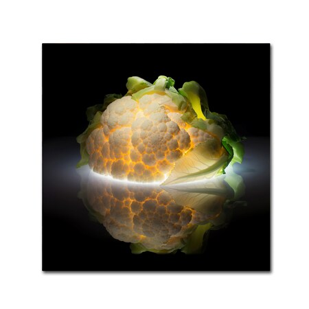 Trademark Fine Art Wieteke De Kogel 'Cauliflower' Canvas Art, 14x14 1X00964-C1414GG